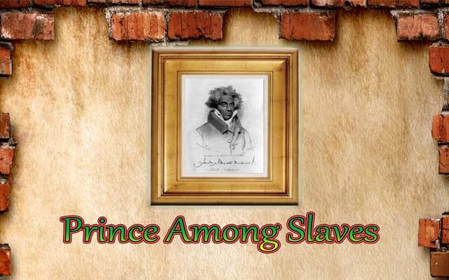 Prince Among Slaves