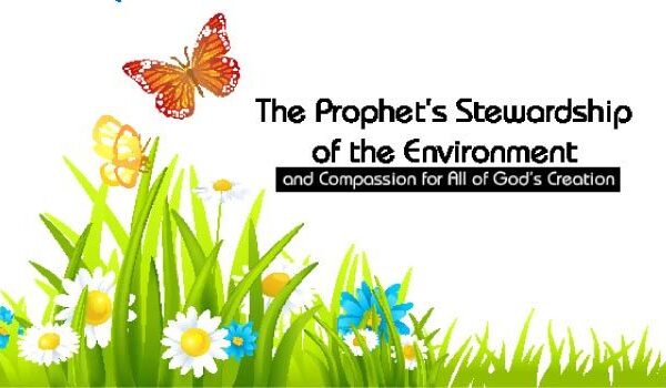 The Prophet’s (pbuh) Stewardship of the Environment and Compassion for All of God’s Creation