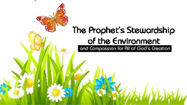The Prophet’s (pbuh) Stewardship of the Environment and Compassion for All of God’s Creation
