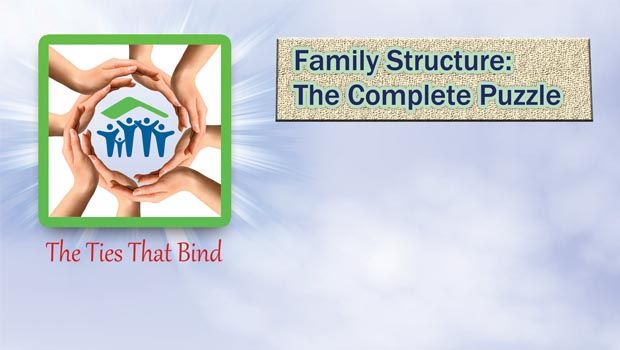 Family Structure: The Complete Puzzle