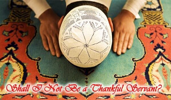 Shall I Not Be A Thankful Servant?
