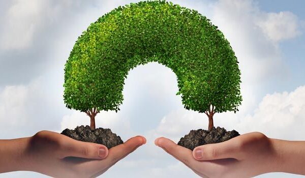 The Common Good: Fairness, Equality of Opportunity, and Helping Those in Need