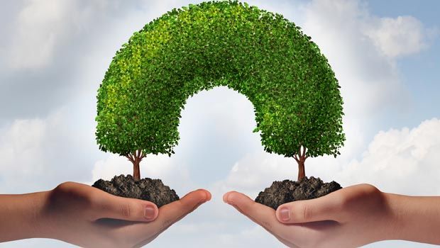 The Common Good: Fairness, Equality of Opportunity, and Helping Those in Need