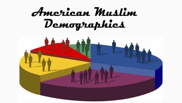 American Muslim Demographics