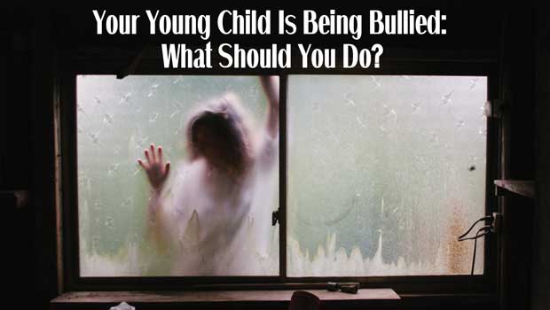 Your Young Child is Being Bullied: What Should You Do?
