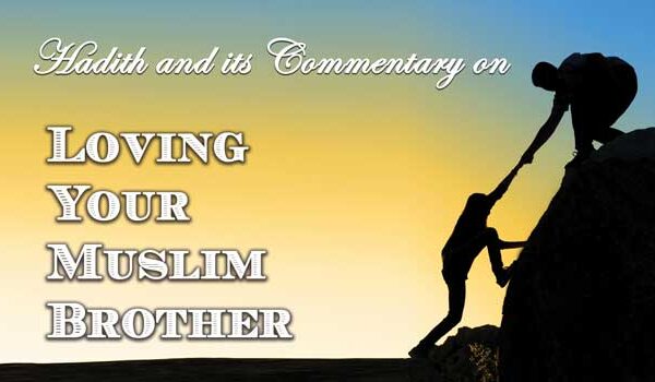 Ḥadīth 13 — Loving Your Muslim Brother