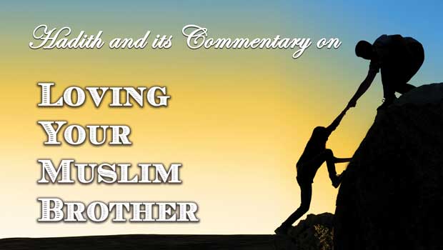 Ḥadīth 13 — Loving Your Muslim Brother