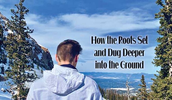 How the Roots Set and Dug Deeper into the Ground