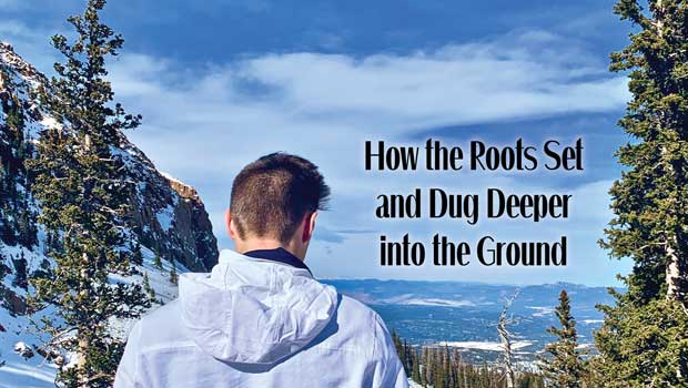 How the Roots Set and Dug Deeper into the Ground