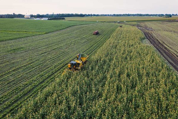Growing Pesticide-free Food to Feed the People