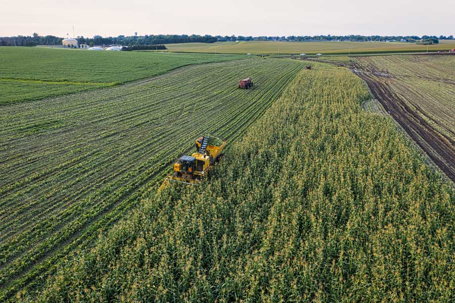 Growing Pesticide-free Food to Feed the People
