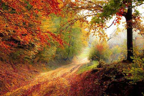 Finding Tranquility and a Connection with Our Creator Through Nature