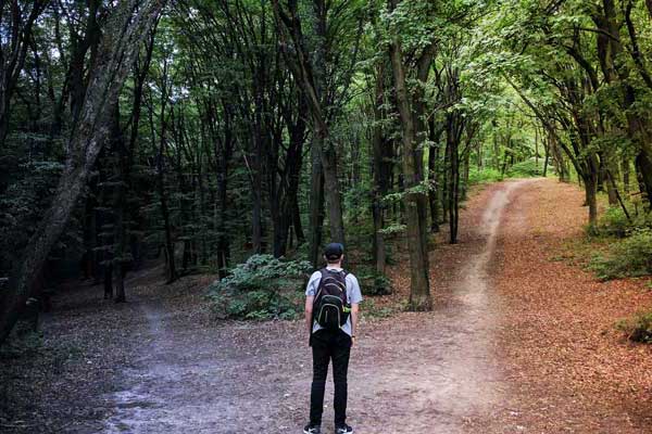 Islam and Liberalism: At the Crossroads