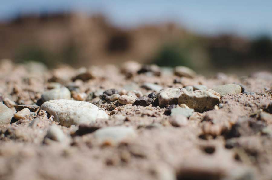 The One Ayah Antidote to the Deceptions of This Worldly Life