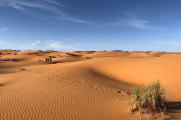 The Concept of ‘Covenant’ in Islam