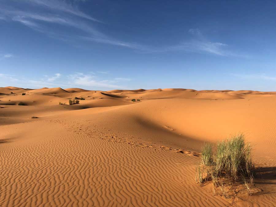 The Concept of ‘Covenant’ in Islam