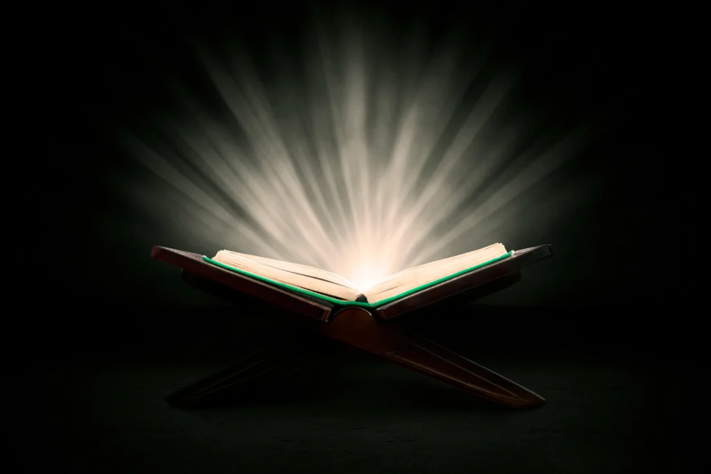 The Message International