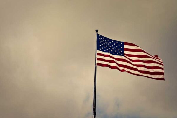 Whom Do Our Representatives Serve? Foreign Lobbies and American Loyalty