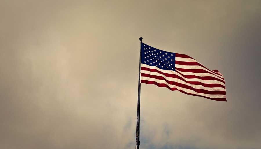 Whom Do Our Representatives Serve? Foreign Lobbies and American Loyalty