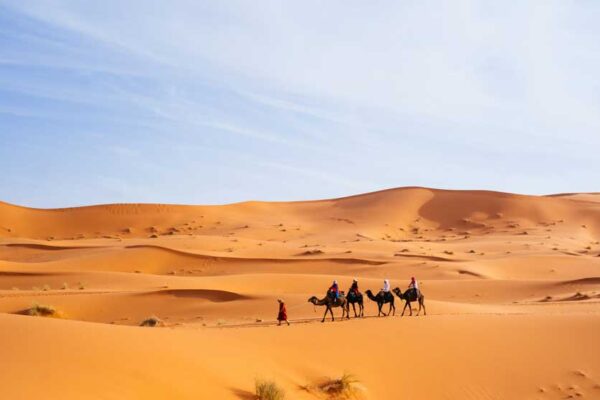 The Strength of Umar ibn al-Khattab: Lessons for Our Youth